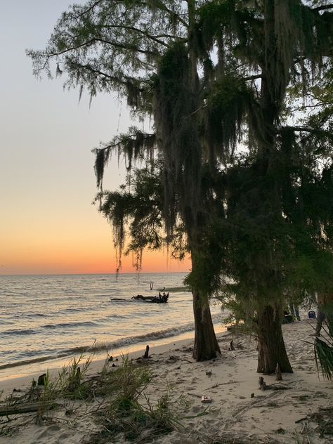 New Orleans Sunset New Orleans Beach, Beautiful Pictures, New Orleans, Celestial Bodies, Water