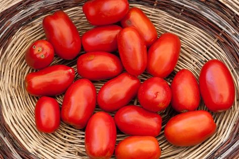 Growing Fruits And Vegetables, Italian Tomatoes, Growing Tomato, Marzano Tomatoes, Growing Tomato Plants, San Marzano Tomatoes, Gourmet Chef, Tomato Garden, Growing Fruit