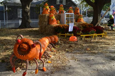 Chatham, MassachusettsDelish People In Park, Snow Creatures, Pumpkin Bowling, Massachusetts Halloween, Apple Bobbing, New Orleans Halloween, Chatham Massachusetts, Pumpkin People, Pumpkin Heads