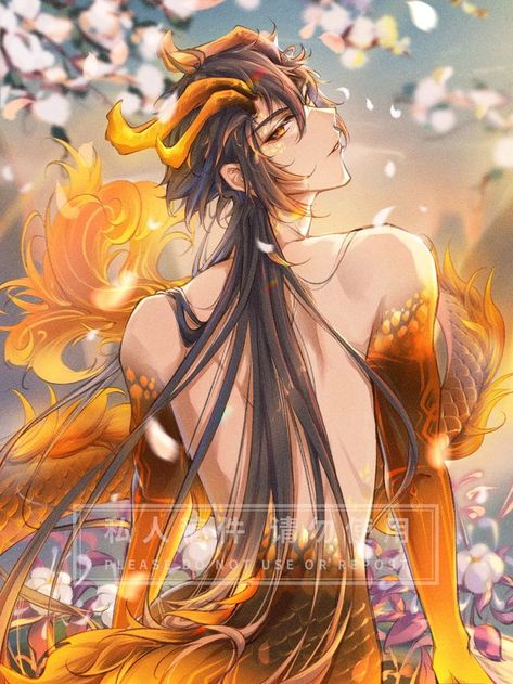 Zhongli Dragon, Half Dragon, Zero The Hero, Star Character, Black Eyes, Golden Star, Anime Gifts, Fantasy Inspiration, Anime Drawings Boy