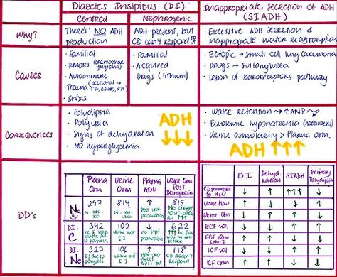 DI vs SIADH Cannula Sizes, Siadh Nursing, Nursing Basics, Nurse Notes, Doctor Patient, Medical Graduate, Med Surg Nursing, Nursing Mnemonics, Nursing School Survival