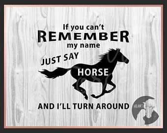 Horse Vinyl Shirt Ideas, Funny Horse Quotes, Horse Sayings, Equestrian Memes, Rodeo Quotes, Equine Quotes, T Shirt Design Svg, Horse Quotes Funny, Horse T Shirt