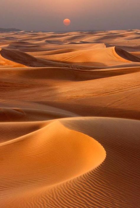 Desert Aesthetic, Deserts Of The World, Desert Photography, Desert Life, Image Nature, Sahara Desert, Photography Wall, Desert Landscaping, Sand Dunes