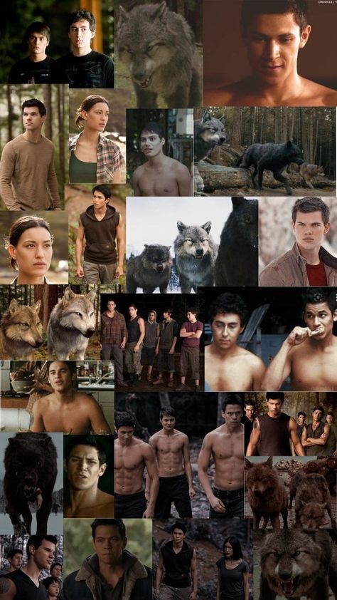 Twilight Wolf Pack Wallpaper, Euphoric Photography, Twilight Quileute, Quileute Pack, Twilight Wolves, Seth Clearwater, Twilight Wolf Pack, Jacob Black Twilight, Oc Story