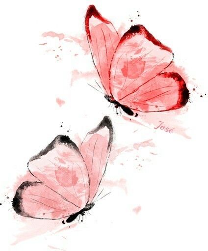 Butterfly Watercolor Painting, Painting Clipart, Butterflies Clipart, Staplers, Butterfly Art Painting, Butterfly Pictures, Butterfly Drawing, Butterfly Painting, Best Tattoo Designs