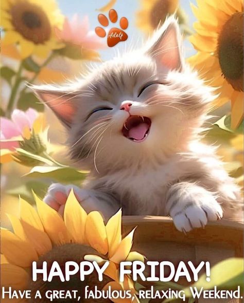 Friday Morning Greetings, Good Morning Dog, Wonderful Day Quotes, Cute Good Morning Pictures, Happy Friday Pictures, Friday Dog, Morning Coffee Funny, Friday Cat, Friday Morning Quotes