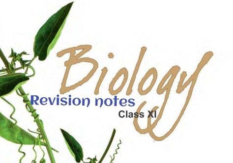 Neet Exam Notes Biology, Neet Exam Notes, Cell The Unit Of Life, Endomembrane System, Biology Class 11, Notes Biology, Class 11 Biology, Notes Science, Human Circulatory System