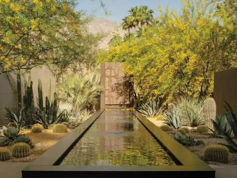 Japanese Garden Creates Beauty at Home in Palm Springs Desert Fountain, Japanese Style Garden, Lap Swimming, Fan Palm, San Jacinto, Earthy Color Palette, Glass Front Door, Best Water, Desert Plants