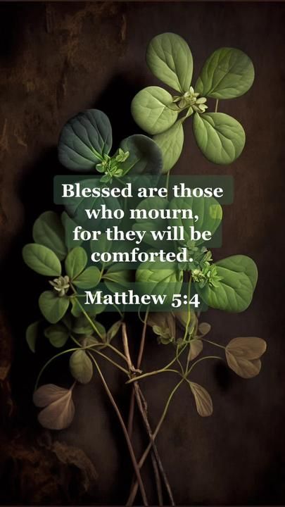 You are blessed ✝️ Matthew 5:4 #thebeatitudes #bible #blessingsofGod #... | TikTok Matthew Verses, Matthew 4 4, Matthew 5 4, Bible Verses Kjv, Matthew 5, Blessed Are Those, Jesus Faith, Christian Messages, In Christ Alone