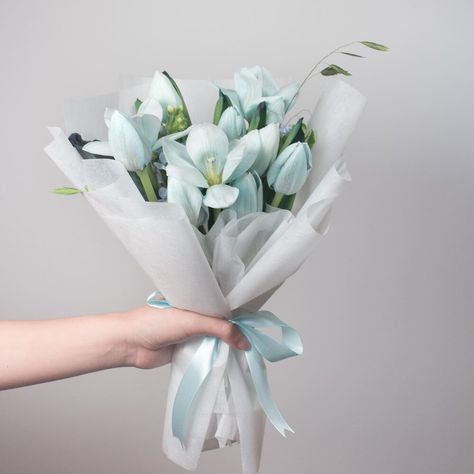 Single Tulip Bouquet, Tulip Daisy Bouquet, Blue Tulips Bouquet, Graduation Bouquet Tulips, Korean Tulip Bouquet, Iris And Tulip Bouquet, Tulips Meaning, Flower Box Gift, Blue Tulips