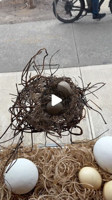 74K views · 4.2K likes | Painted Swan on Instagram: "Our Easter window…🪺" Bird Window Display, Anthropologie Spring Window Display, Easter Window Display, Paper Mache Eggs, Store Window Displays, Store Window, Shop Window Displays, Bird Nest, Shop Window