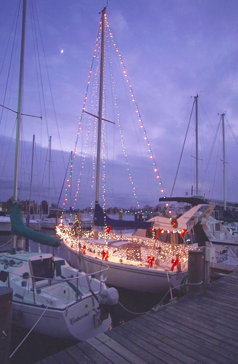 ~Christmas bulb sails~ My Love Photo, Sailboat Interior, Boat Parade, Florida Christmas, Beachy Christmas, Boat Decor, Sail Boats, Light Night, Christmas Time Is Here