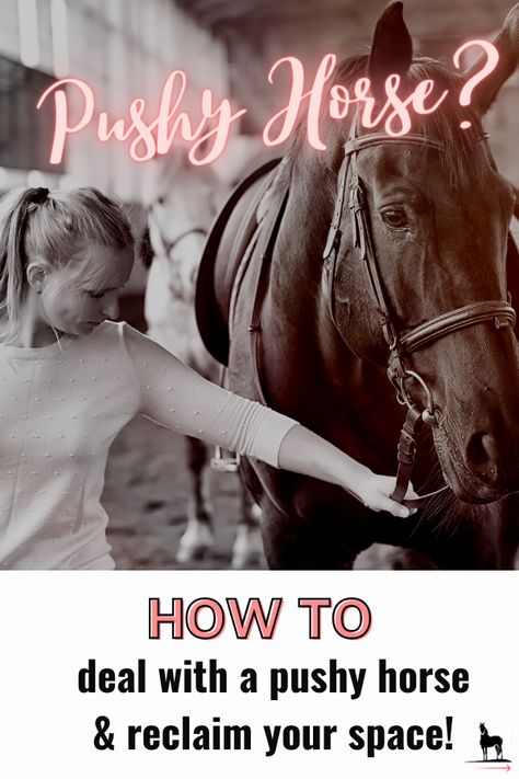 Horse Judging Tips, Things To Do With Your Horse When You Cant Ride, How To Teach A Horse To Neck Rein, Advice From A Horse, Horse Adventure, Therapeutic Horseback Riding, Horse Rescue, Caravan Renovation, Horse Training Tips