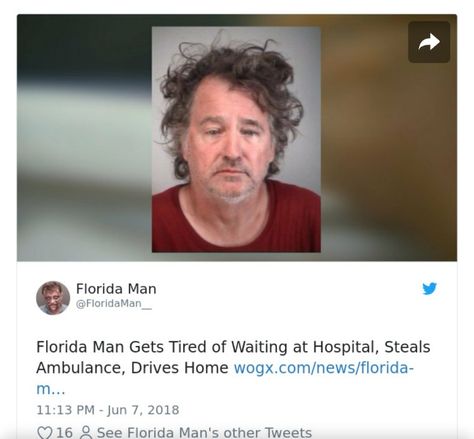 Florida Man Headlines, Florida Man Meme, Florida People, Florida Men, Florida Funny, Comebacks Memes, Florida Man, Florida Woman, What Have You Done