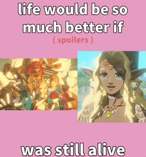 Legend Of Zelda Memes, Zelda Funny, I Miss Them, Zelda Botw, Link Zelda, Zelda Art, Dead To Me, Adventure Story