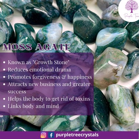 Moss Agate Properties, Crystals Properties, Agate Properties, Agate Meaning, Moss Agate Crystal, Purple Trees, Crystal Healing Stones, Attract Wealth, Rock Collection