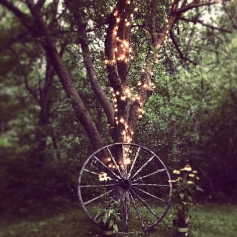 Wagon wheel Cowgirl Tea Party, Tea Party Birthday, Wagon Wheel, Family Fun, Tea Party, Dandelion, Wheel, Tea