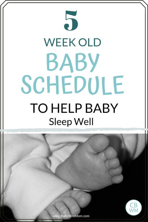 5 week old baby schedule to help baby sleep well. Baby schedule for a 5 week old. Get details on the the fifth week of life for this Babywise baby. See how to get great newborn baby sleep. #babyschedule #babysleep #babysleeptips #newbornsleep #newborn 5 Week Old Sleep Schedule, 5 Week Newborn Schedule, 5 Week Old Baby Schedule, 5 Weeks Old Baby, Baby Sleep Routine, Baby Wise, Newborn Sleep Schedule, Newborn Needs, Week Schedule