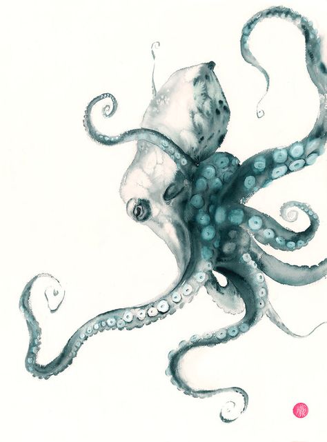 Black And White Whale Drawing, Octopus Tattoo Design Drawing, Octopus Art Drawing, Kraken Drawing, Floral Octopus, Watercolor Octopus, Octopus Artwork, Octopus Watercolor, Kraken Art