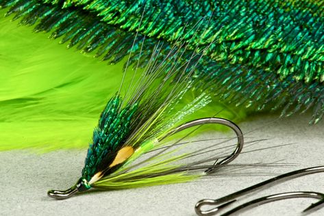 img_102 Fly Fishing For Beginners, Hair Wings, Fly Casting, Steelhead Flies, Fly Fishing Flies Pattern, Green Hornet, Fly Fishing Tips, Saltwater Flies, Atlantic Salmon