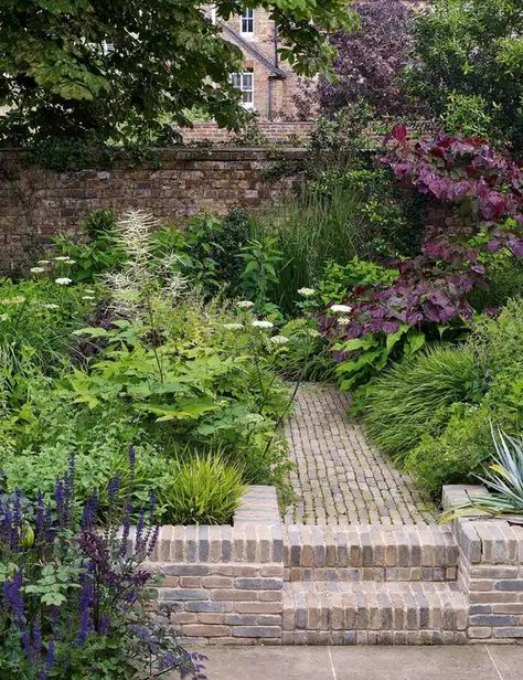 Pathway Plants, Best Outdoor Plants, Ideas Around Trees, Plants For Decoration, Gardens Illustrated, Contemporary Water Feature, Plum Leaves, Plants For Home, Urban Gardens