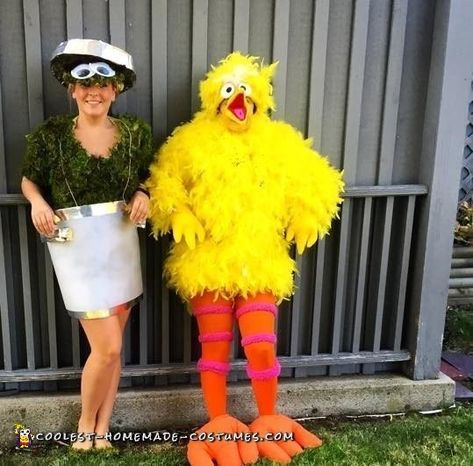 Rosita Sesame Street, Sesame Street Costume, Homemade Costumes, My Shirt, Eye Brow, Couples Costumes, Sesame Street, Costume Ideas, Halloween Costume