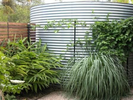 Garden Accessories -- Rain Water Tank to harvest and store water. Rain Water Collection Diy, Greenhouse Design, Rainwater Collection, Water From Air, Garden Screen, Rainwater Harvesting System, Screen Plants, Natural Farming, Rain Water Tank