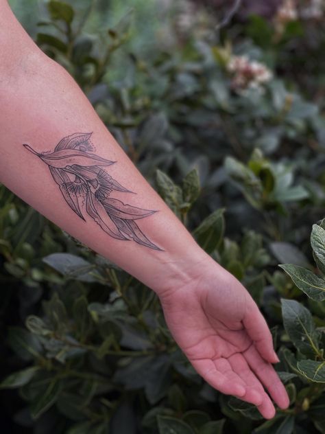 Gum Leaves Tattoo, Gum Blossom Tattoo, Gum Leaf Tattoo, Bay Leaf Tattoo, Wattle Tattoo, Indian Feather Tattoos, Mum Tattoo, Australian Tattoo, Gum Leaves