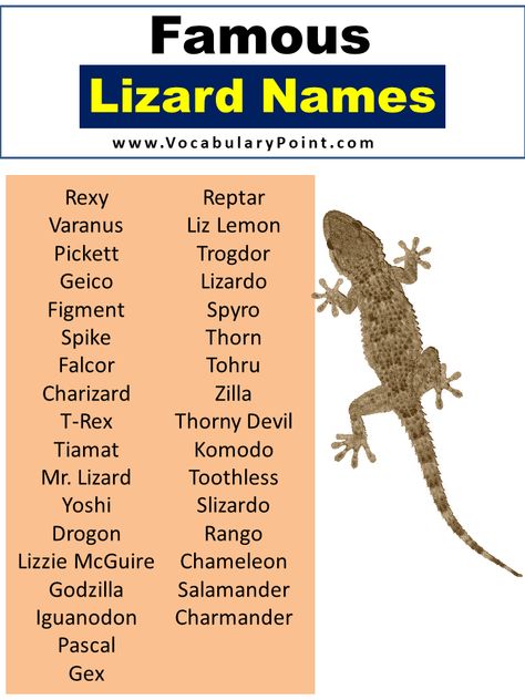 Are you tired of giving your pet lizard the same old boring name? Well, look no further! In this article, we will explore a wide range of unique and captivating lizard names that are sure to make your scaly friend stand out from the crowd. Whether you have a bearded dragon, a gecko, or an ... R... Gecko Name Ideas, Gecko Names, Bearded Dragon Names, Breaded Dragon, Lizard Names, Drake Dragon, Thorny Devil, Funny Lizards, Cow Names