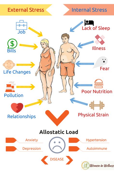 Knowing Your Allostatic Load Can Help Prevent Disease Feeling Off, Too Much Estrogen, Chemical Imbalance, Lower Back Pain Exercises, Poor Nutrition, Autoimmune Disorder, Back Pain Exercises, Adrenal Fatigue, Lack Of Sleep