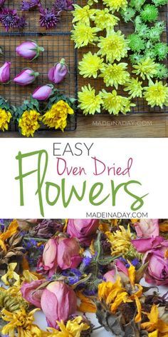 Diy Dried Flowers, Crafts Origami, Origami Fashion, Christmas Decorations Garland, Dried Rose Petals, Paper Crafts Card, How To Make Paper Flowers, Dry Flowers, Paper Crafts Origami