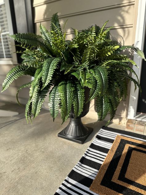 Faux ferns. Faux plants. Porch. Farmhouse porch. Ferns On Front Porch, Plants Porch, Fern Bush, Porch Farmhouse, Porch Plants, Boston Fern, Farmhouse Porch, Best Plants, Faux Plants