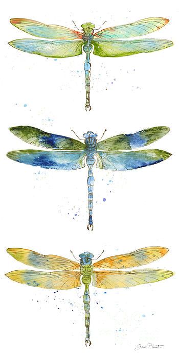 I uploaded new artwork to plout-gallery.artistwebsites.com! - 'Dragonfly Bliss-jp3443' - http://plout-gallery.artistwebsites.com/featured/dragonfly-bliss-jp3443-jean-plout.html Doodling Ideas, Dragonfly Painting, Dragonfly Tattoo Design, Watercolor Dragonfly, Dragonfly Art, Dragonfly Tattoo, Insect Art, Watercolor Inspiration, The Wings