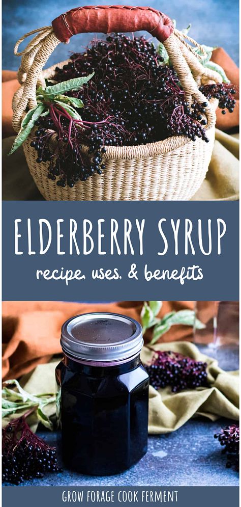 Start your herbalism journey with our homemade elderberry syrup. Prepared with fresh elderberries and two more ingredients, it's an easy introduction to the power of herbal remedies. You'll not only discover the range of benefits elderberry syrup provides but also the many uses it offers. It's the perfect homemade wellness boost. Immune Boosting Recipes, Elderberry Uses, Homemade Elderberry Syrup, Elderberry Benefits, Elderberry Syrup Recipe, Homemade Elderberry, Elderberry Recipes, Dried Berries, Cold Sores Remedies