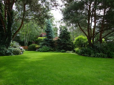 Acreage Landscaping, Large Backyard Landscaping, Patio Grande, Evergreen Garden, Lawn And Landscape, Large Backyard, Home Landscaping, Woodland Garden, Backyard Garden Design