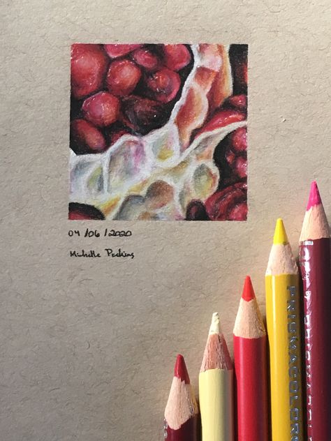 Pomegranate Pencil Drawing, Colour Studies Gcse Art, Pomegranate Drawings, Pomegranate Art Illustrations, Colour Pencil Sketches, Pomegranate Sketch, Drawing Pomegranate, Tools Mechanical, Pomegranate Drawing