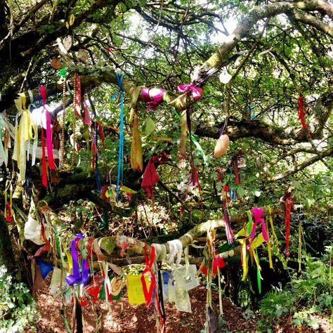 Beltane Aesthetic Pagan, Sabbath Wheel, Beltane Party, Beltane Wedding, Rocks Garden Ideas, Gardens With Rocks, Beltane Festival, Beltane Aesthetic, Celtic Holidays