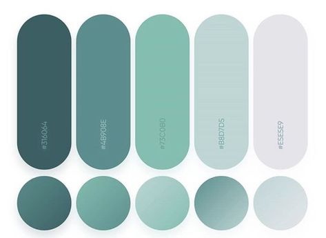 Flat Color Palette, Ui Color, Hex Color, Pantone Colour Palettes, Color Design Inspiration, Hex Color Palette, Palette Design, Stunning Hairstyles, Color Schemes Colour Palettes