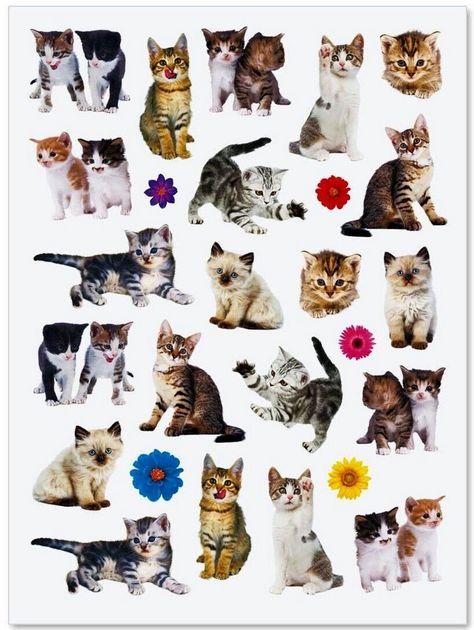 Cat-tastic Creations: Clip Art Cats for Crafting Adventures Kitten Stickers, Cartoon Crazy, Stickers Design, Adorable Kittens, Silly Cats Pictures, Photo Stickers, Silly Animals, Crafts Projects, Scrapbooking Embellishments