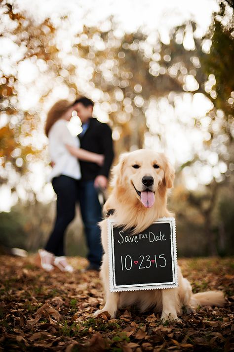 Invitations With Pictures, Wedding Fotos, Wedding Invitations With Pictures, Cute Engagement Photos, Engagement Photo Shoot, Engagement Pictures Poses, Foto Tips, Engagement Photo Poses, Engagement Poses