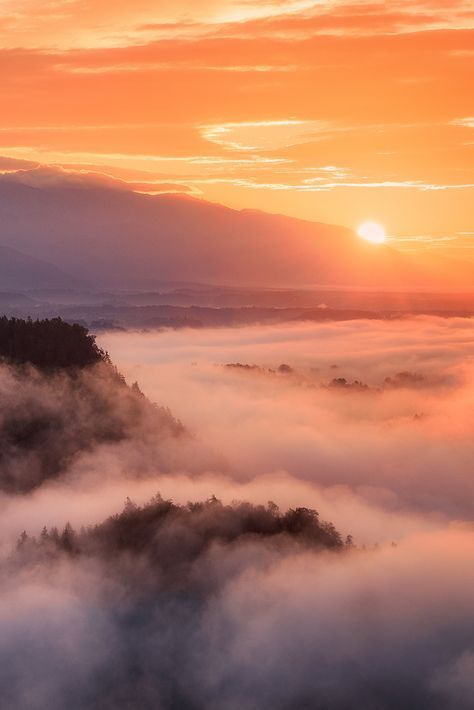 Above The Clouds Wallpaper, Sunrise With Clouds, Above Clouds, Sunrise Clouds, Sunrise Aesthetic, Matka Natura, Sunrise Pictures, Rose Photo, Above The Clouds