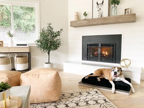 Melissa Winkelman on Instagram: “Best seat in the house! Saint never liked his dog bed until we put it in front of the fire. Can’t say I blame him! It’s almost getting too…” The Fire, Dog Bed, The House, Fireplace, Canning, Bed, Dogs, On Instagram, Instagram