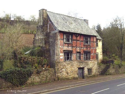 Gloucestershire England, Tudor Cottage, Forest Of Dean, Cabin In The Woods, Architecture Old, Stone Houses, English Cottage, English Countryside, Old Buildings