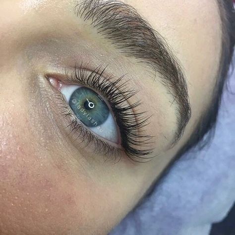 Eyelash Goals, Natural Fake Eyelashes, Classic Lashes, Eyes Lashes, Eyelashes Extensions, Eyelash Extensions Styles, Perfect Eyelashes, Natural Eyelash Extensions, Applying Eye Makeup