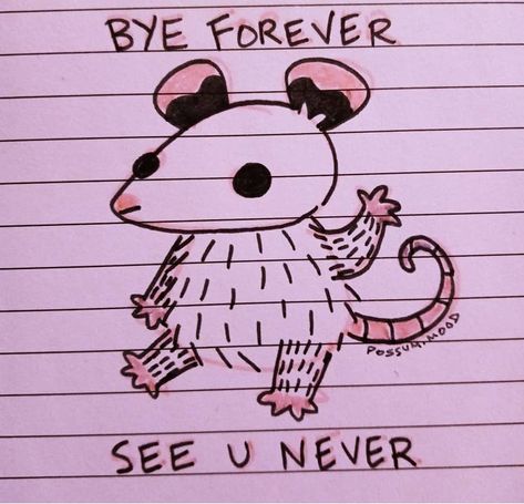 Screaming Opossum Drawing, Possum Drawing Simple, Racoon Drawings Easy, Possum Doodle, Tat Fonts, Cross Drawing, Awesome Possum, Notebook Doodles, Animal Crossing Fan Art