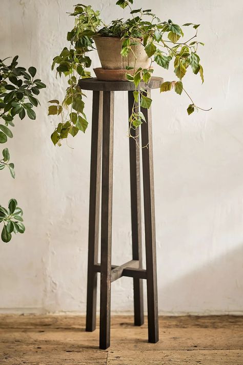 Black Wood Plant Stand | Terrain Wooden Plant Stands Indoor, Tall Plant Stand Indoor, Tall Plant Stand, Front Porch Plants, Plants Stand, Indoor Plant Display, Tall Indoor Plants, Small Plant Stand, Porch Plants