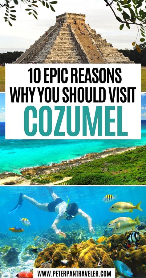 Things To Do In Cozumel Mexico, Cozumel Mexico Things To Do In, Cozumel Outfits, Cozumel Mexico Pictures, Iberostar Cozumel, What To Do In Cozumel, Cozumel Mexico Beaches, Cozumel Mexico Cruise, Cozumel Snorkeling