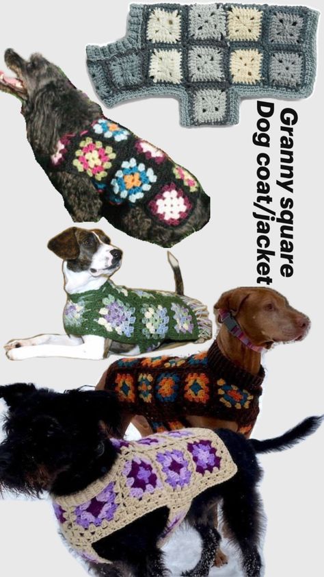 Granny Square Dog, Crochet Dog Hat, Knitting Quilt, Crochet Dog Clothes, Dog Sweater Crochet Pattern, Dog Sweater Pattern, Crochet Dog Patterns, Granny Square Crochet Patterns Free, Crochet Dog Sweater