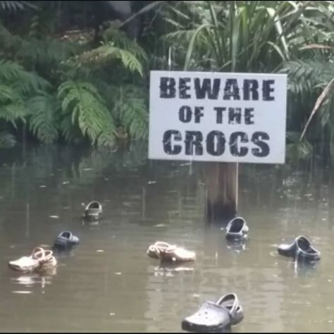 Crocs!!! #crocs #beware #funny #funnymeme Aussie Memes, Funny Koala, Visual Puns, Animal Puns, Tag Friends, Bd Comics, Crocodiles, Funny Puns, Funny Meme