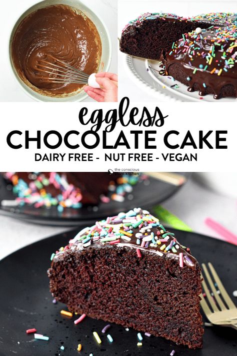 Dairy Free Egg Free Cake, Best Eggless Chocolate Cake Recipe, Allergen Free Cake, Egg Free Chocolate Cake, Conscious Plant Kitchen, Egg Free Cakes, Dairy Free Chocolate Cake, Chocolate Espresso Cake, Dairy Free Frosting